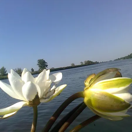 Quarto em Acomodações Particulares Nad Odra Widuchowa