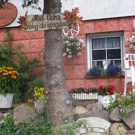 Accommodatie bij particulieren Nad Odra Widuchowa