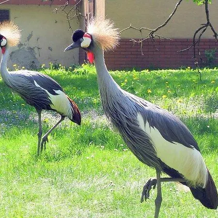 Quarto em Acomodações Particulares Nad Odra Widuchowa