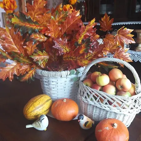 Nad Odra Quarto em Acomodações Particulares *