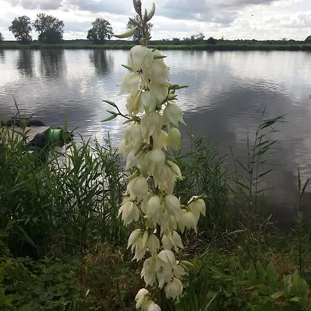 ホームステイ Nad Odra *