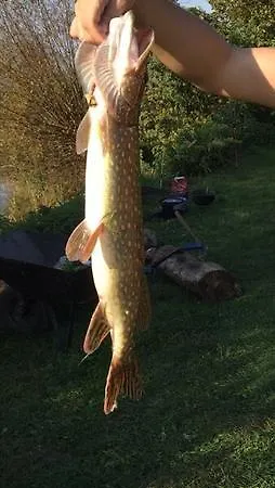 Nad Odra Quarto em Acomodações Particulares Widuchowa