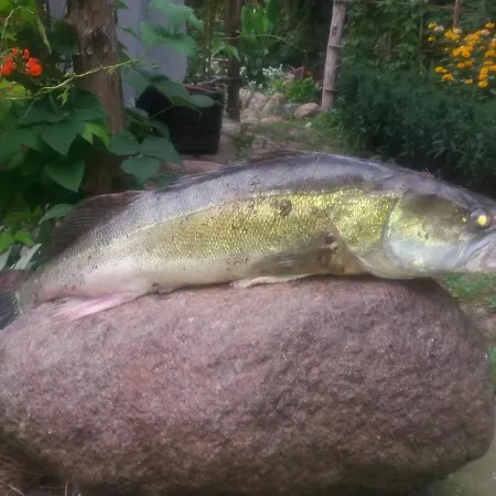 Nad Odra Quarto em Acomodações Particulares *