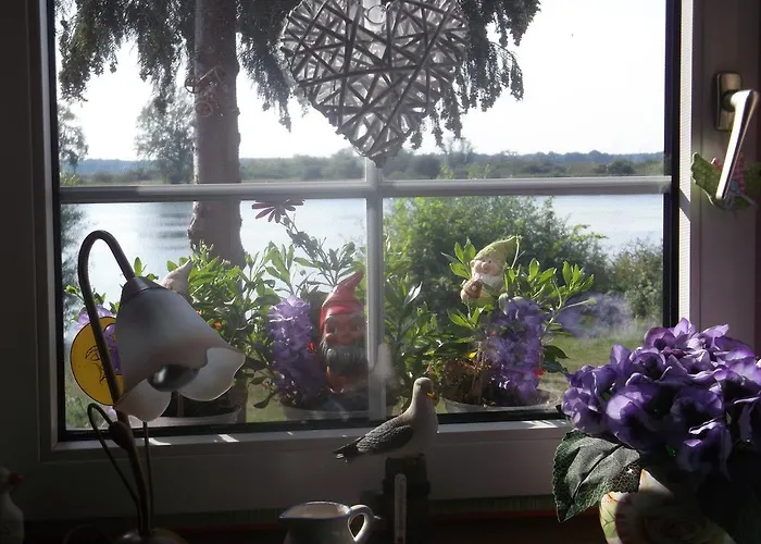 Homestay szállás Nad Odra Widuchowa