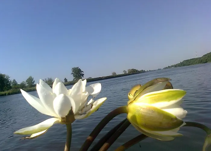 Homestay szállás Nad Odra Widuchowa