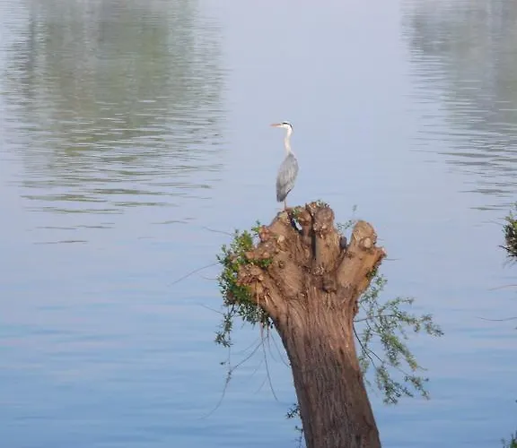 Homestay szállás Nad Odra Widuchowa