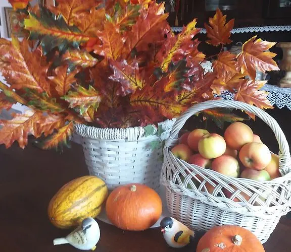 Nad Odra Homestay szállás *