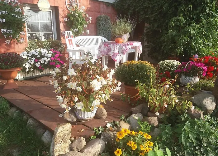 Homestay szállás Nad Odra Widuchowa