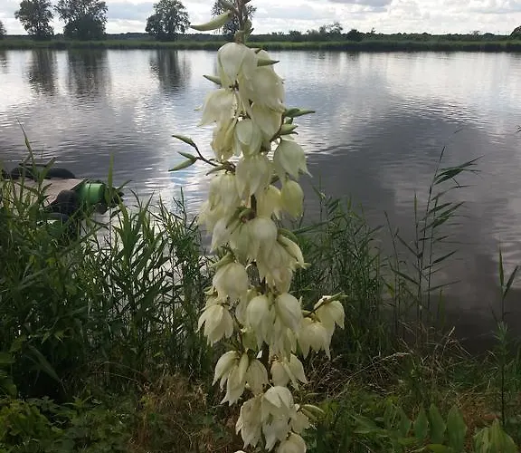 בית אירוח Nad Odra *