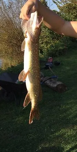 Nad Odra בית אירוח Widuchowa